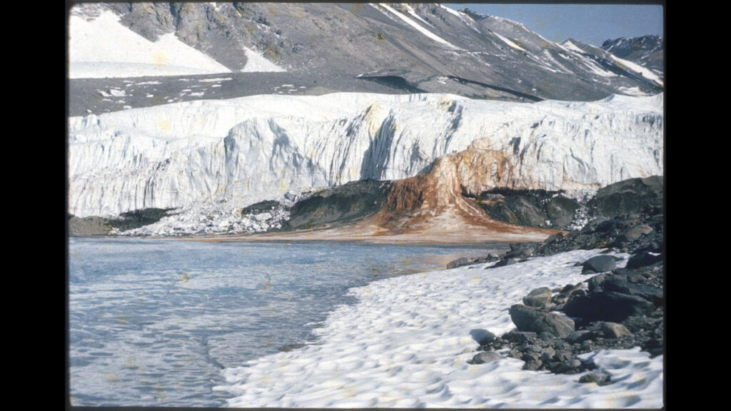 Iron-rich brine can be seen flowing from the Taylor Glacier during researchers’ 1969–1970 Antarctic field season.