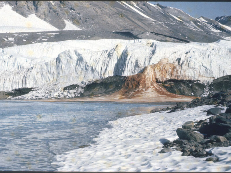 Charting the “Bloody” Brine Flows from an Antarctic Glacier