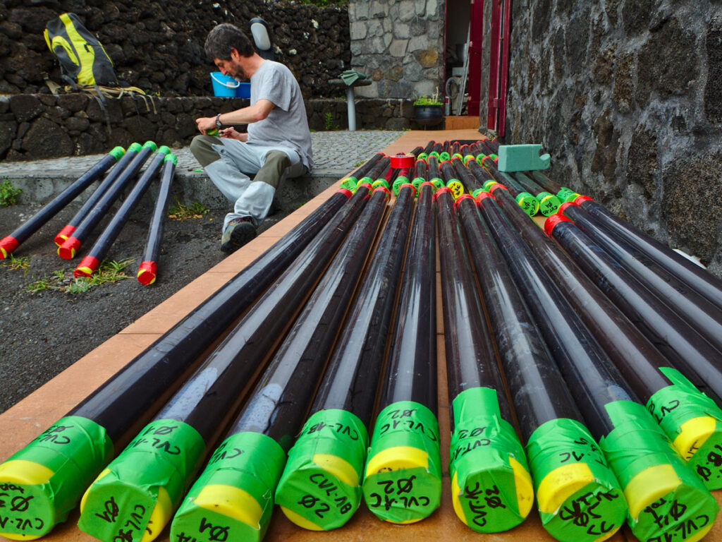 Photo of the samples collected on Pico Island