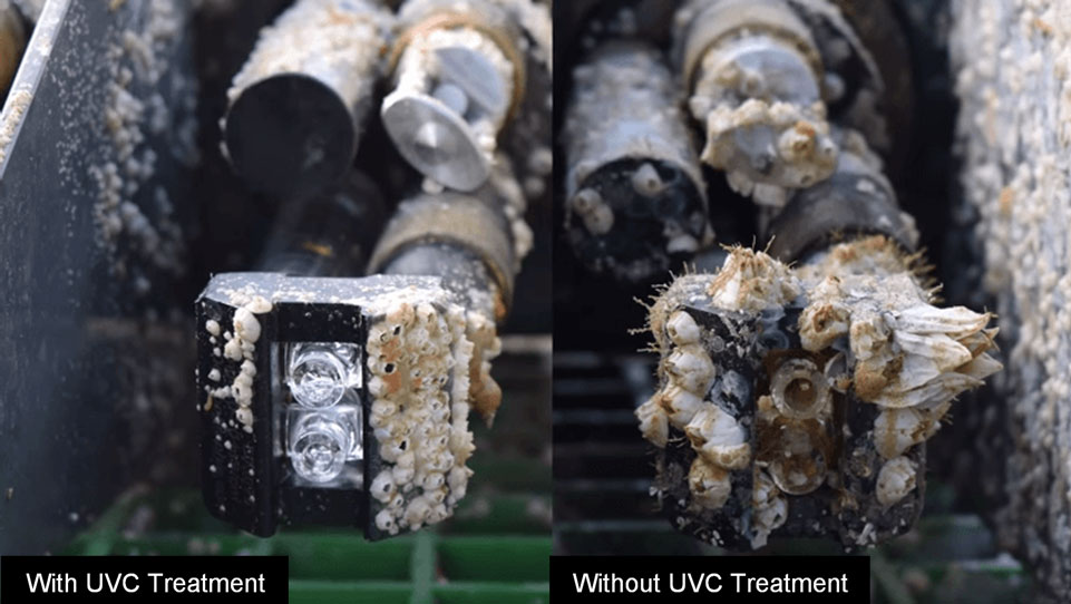 Side-by-side photos showing ocean conductivity sensors encrusted with barnacles.