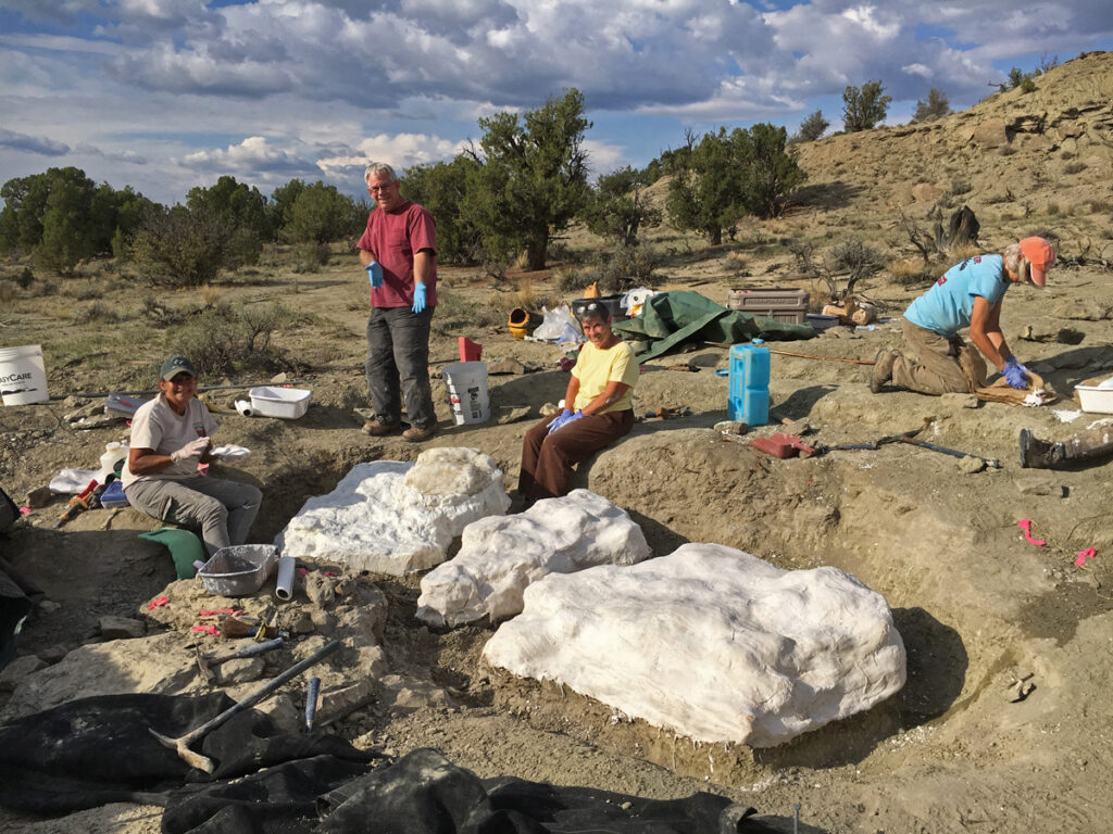 Four people work on preparing three large fossils for helicopter removal from the Unicorns and Rainbows Quarry in Grand Staircase.