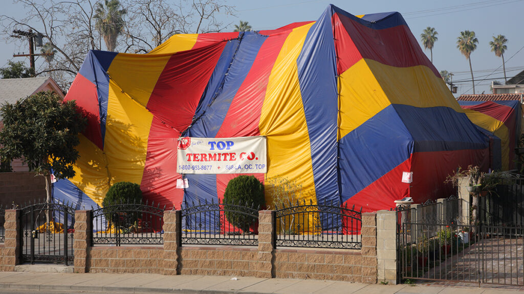 A yellow-, red-, and blue-striped fumigation tent covers a building.