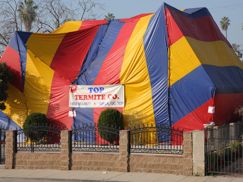 Termite Fumigation in California Is Fueling the Rise of a Rare Greenhouse Gas