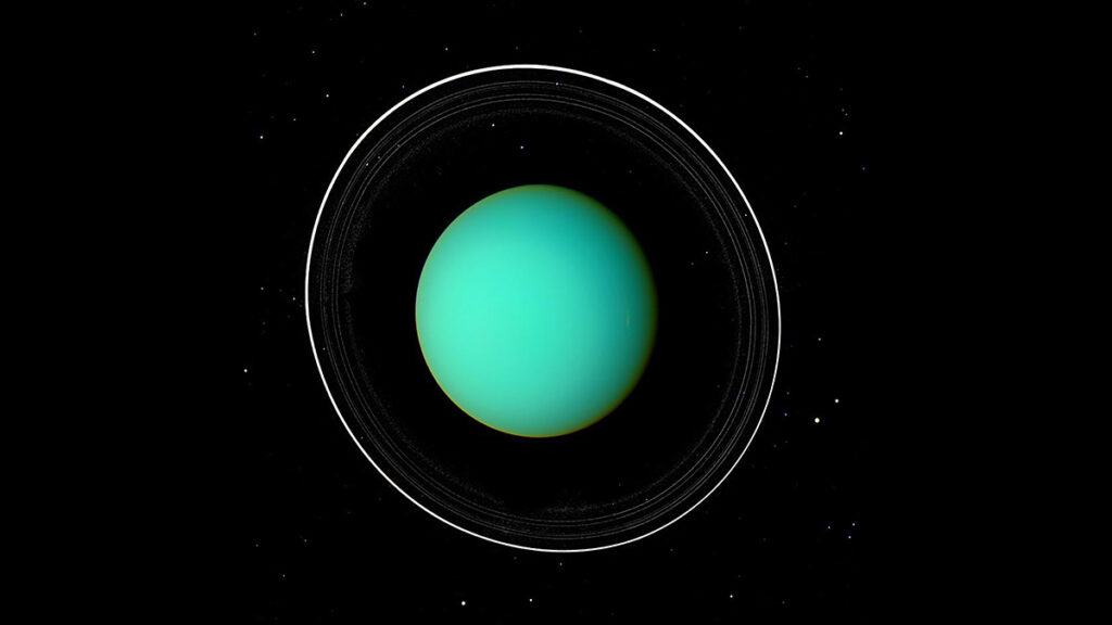 The light green planet Uranus sits on a black background. One bright white and many faint white concentric rings encircle the planet face on, and many small white specks, its moons, are scattered across the image.
