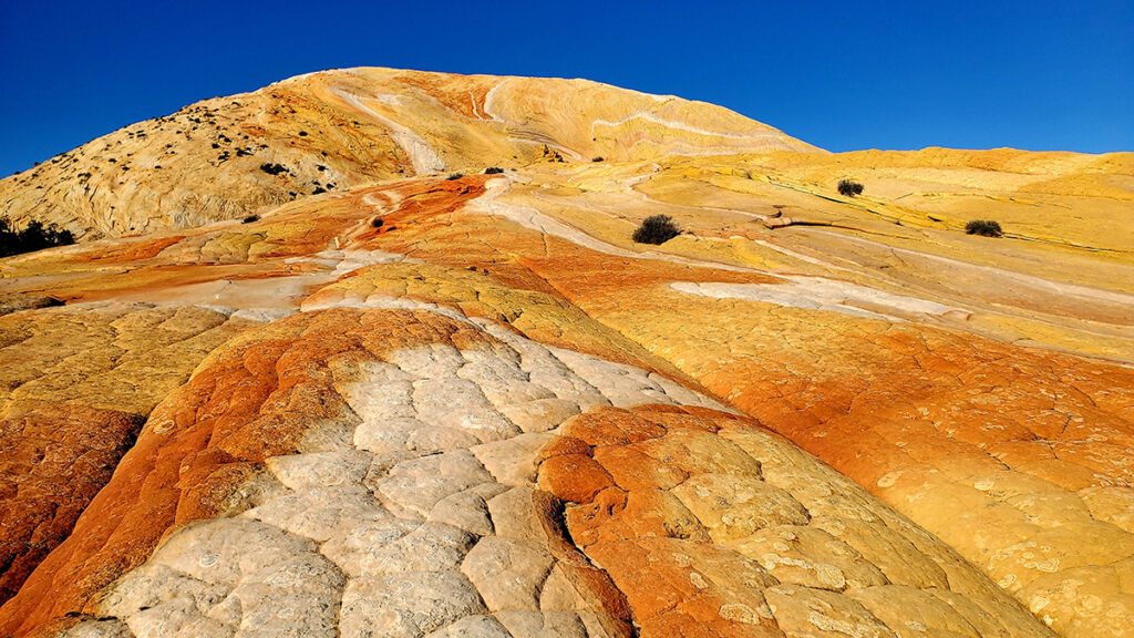 Yellow and orange swirls color a chunk of Navajo sandstone in Grand Staircase.