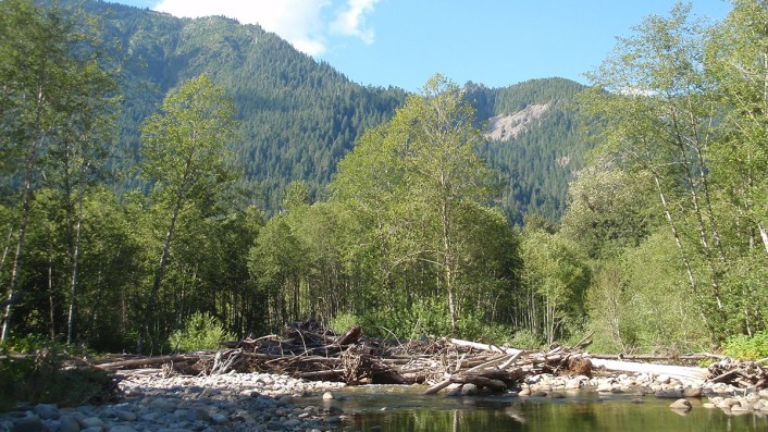 Logjam in the Middle Fork Snoqualmie River located in Washington