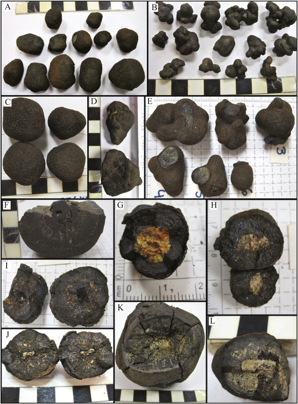 Photographs of nodules in the laboratory
