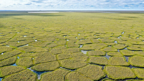 Polygons created by melting permafrost