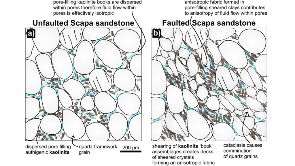 Two microstructural schematic diagrams showing how clay influences the void space connectivity and permeability of unfaulted sandstone and faulted sandstone.