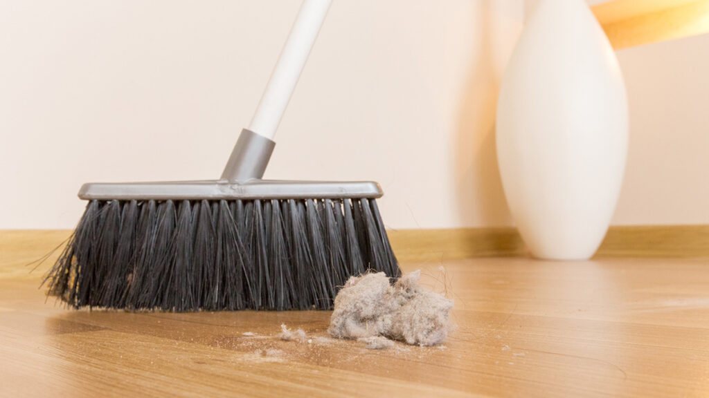 A white-handled push broom with black bristles stands with a large dust bunny before it on the hardwood floor. In the corner is a white ovoid vase.