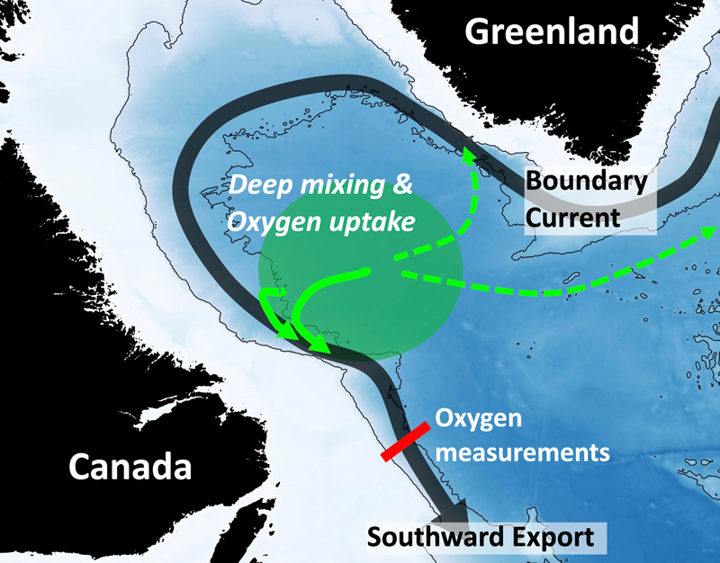 Simplified map of the oxygen mixing zone and deep boundary current in the Labrador Sea.