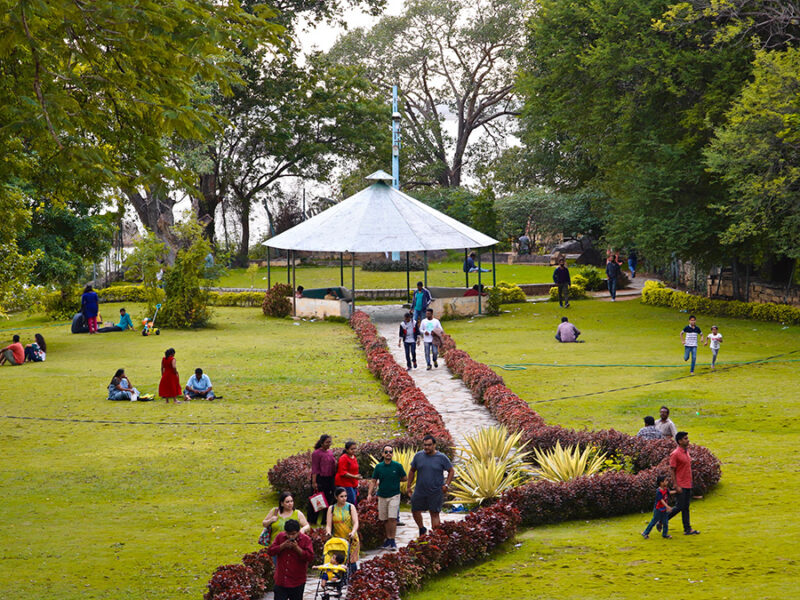 Weighing the Benefits of Urban Greening