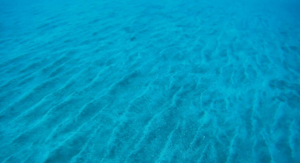 The seabed on the inner shelf of Santa Maria shows current ripples in the sand.