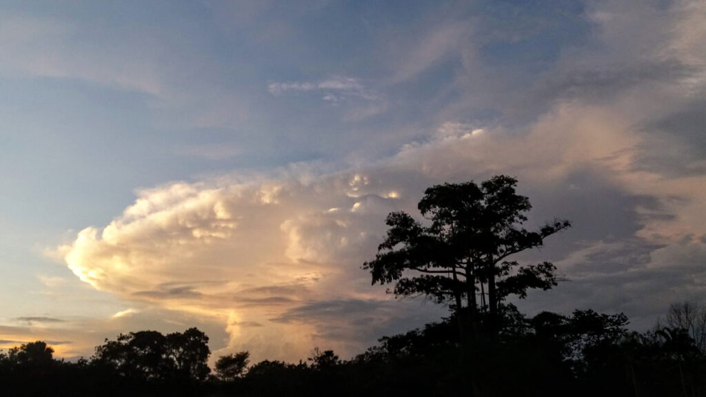 Heavy rain clouds loom over the forested landscape near Yamoussoukro, Ivory Coast.