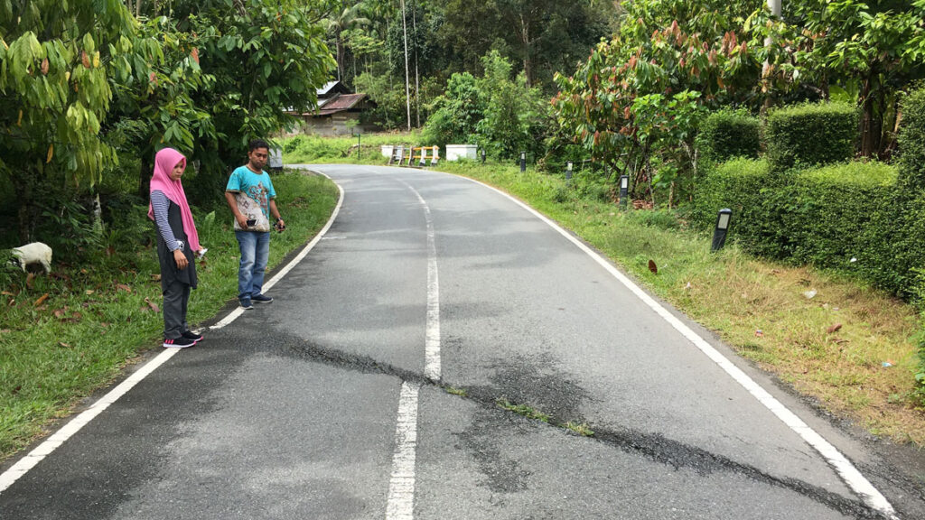 Two people stand on the edge of a road, looking at a straight crack, representing the surface trace of a fault, the cuts across the road and offsets its painted centerline.