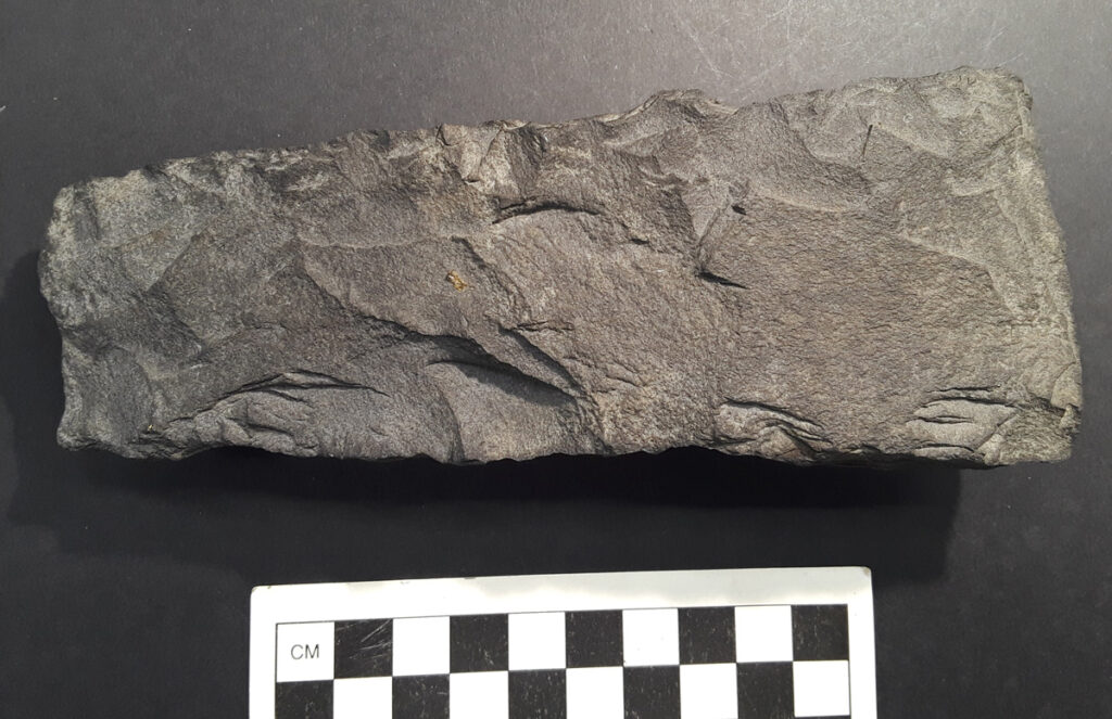 An unfinished stone adze