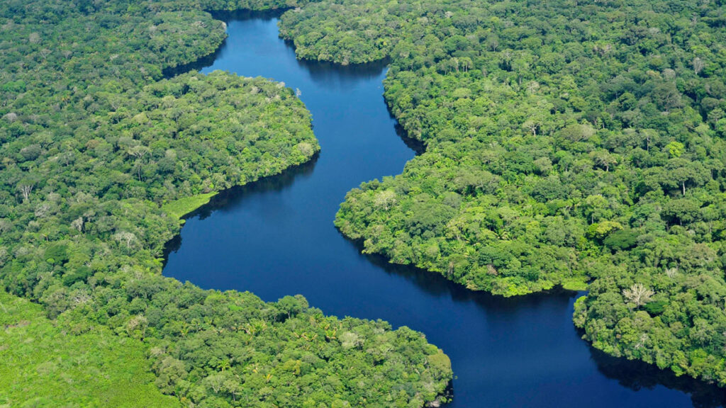 The Amazon rain forest (near Manaus, the closest urban center to the Amazon Tall Tower Observatory) is enriched by dust wafted across the Atlantic from the Sahara Desert.