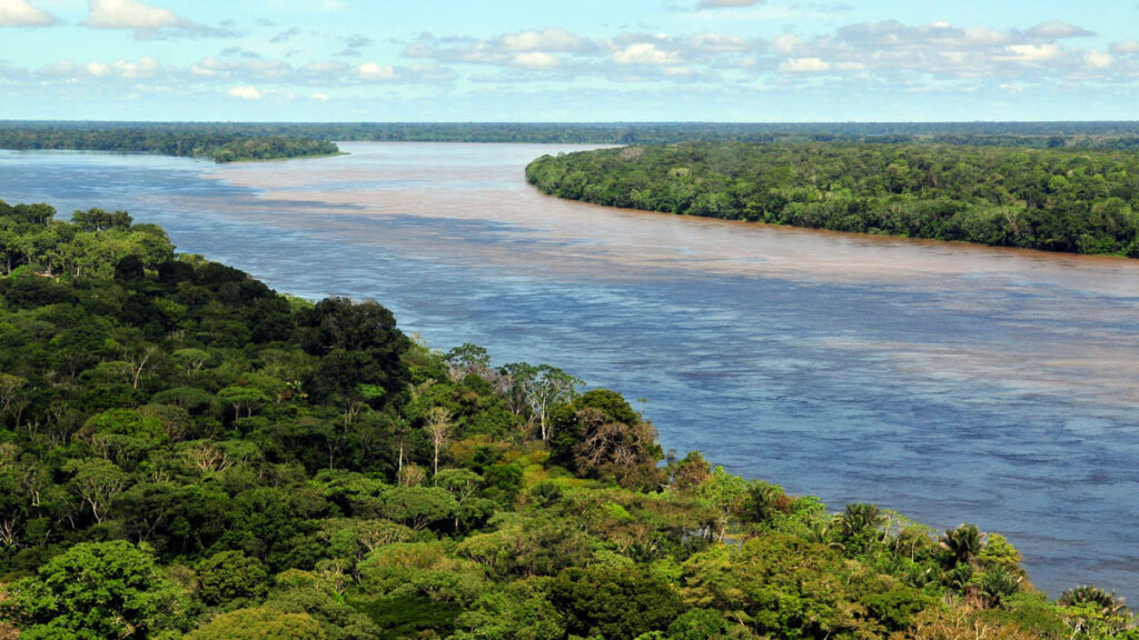Regular rainstorms can wash the Amazon’s nutrients from the soil and into the river. Dust from Africa resupplies the system.