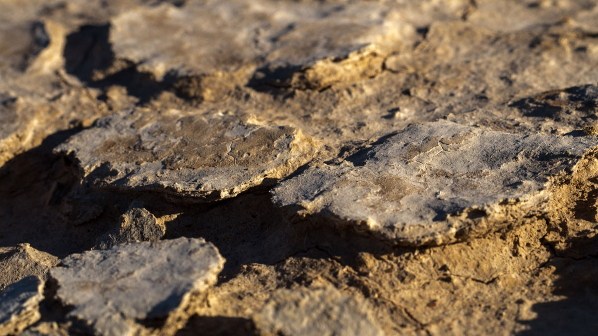 Biocrust in Australia’s Diamantina National Park