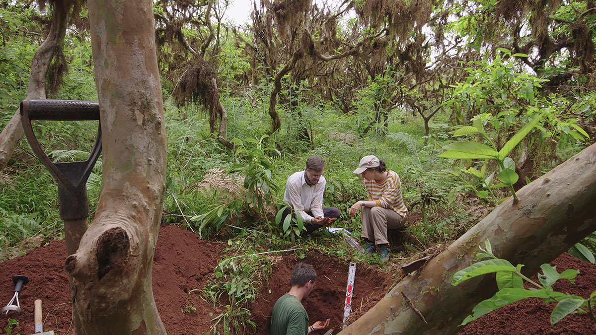 In the humid highlands of San Cristóbal Island, researchers take soil samples from a pit.