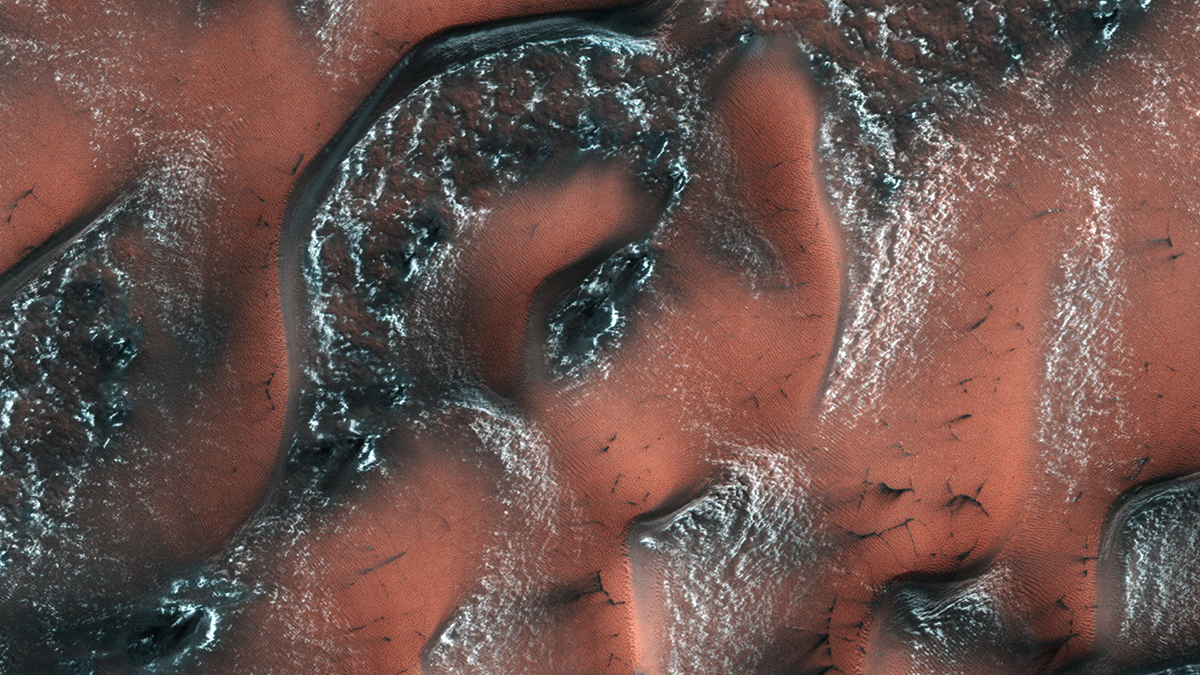 An aerial image of the windswept surface of Mars. The ground is rusty red with blacker sediment curling across the image in the form of dunes. A dusting of white snow accentuates the ridges of large and small scale dunes.