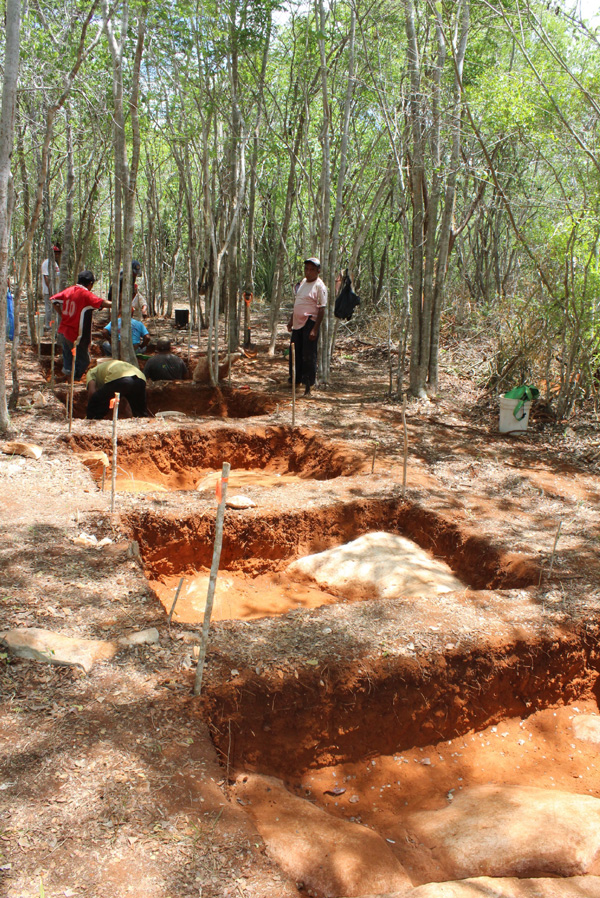 Archaeological dig site involving square pits revealing ancient Maya garden sites