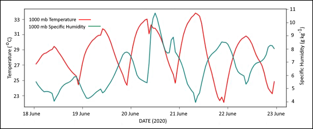 Meteorogram showing temperature and specific humidity during the June 2020 extreme temperature event at Verkhoyansk, Russia, from the ERA5 model reanalysis.