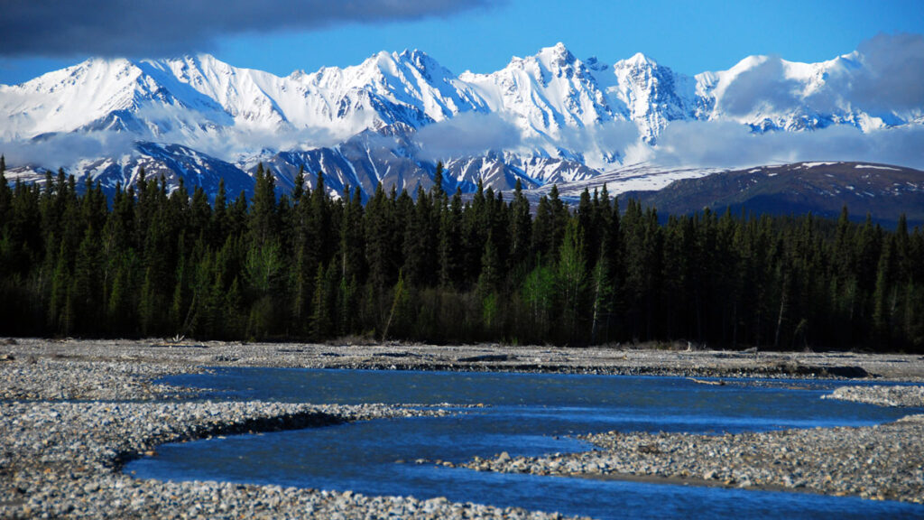 A boreal forest sits at the base of Alaska’s snowcapped mountains with a stream in the foreground.