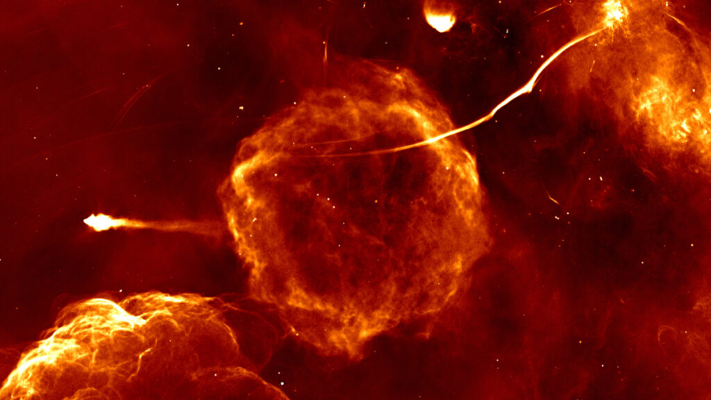 A supernova remnant, pulsar, and radio filament imaged from radio data from MeerKAT
