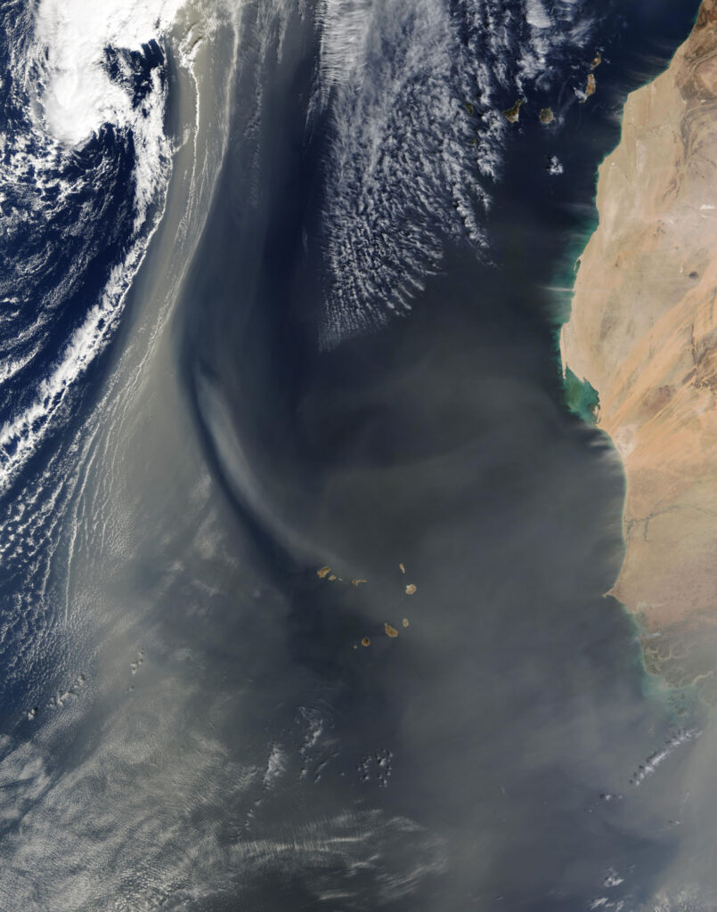 Aerosols are rarely wider than a human hair, but a large enough concentration can be viewed from space, as seen in this image of Northwest Africa from 3 February 2004.