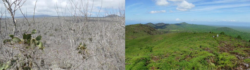 Santa Cruz Island’s dry lowlands (left) and humid highlands (right).