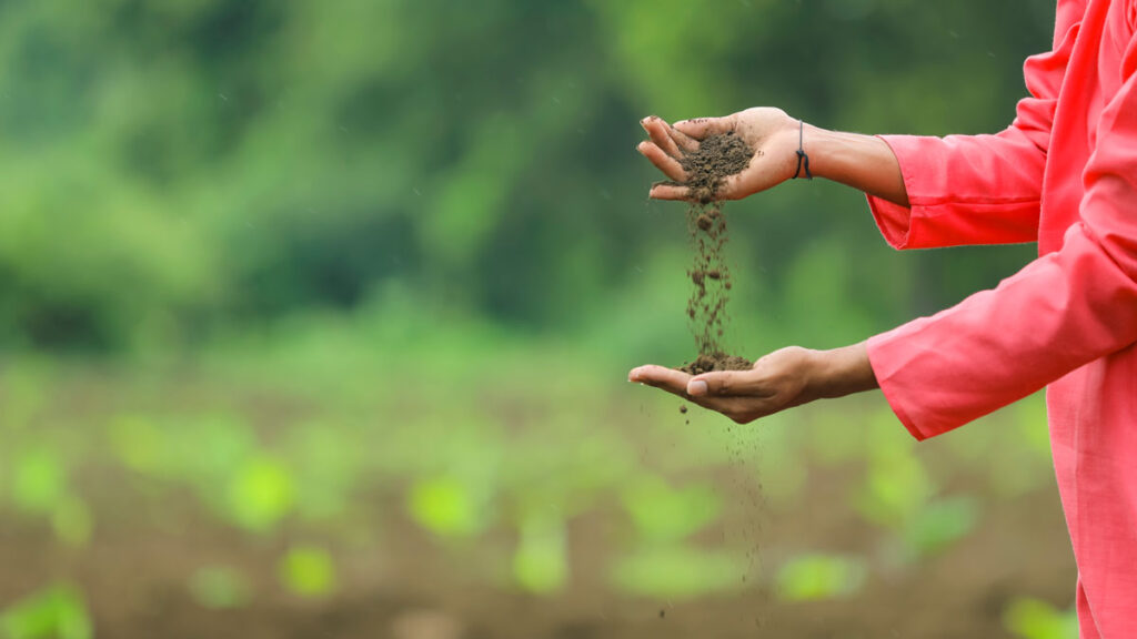 A person holding soil lets it fall from one hand to the other with a blurred background.