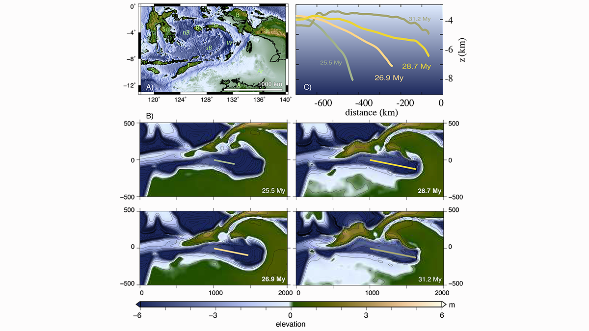 Dynamic topography in the Banda arc and Weber Deep.