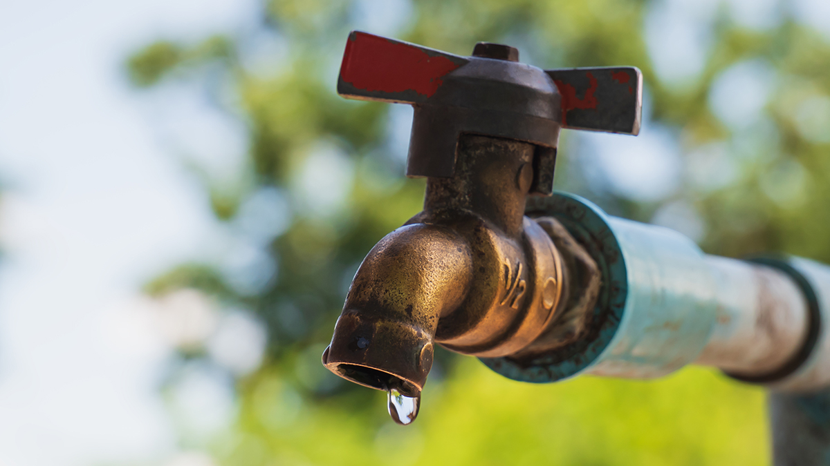A tarnished copper water pipe and spigot with dripping water sits in front of a blurred green outdoor background.