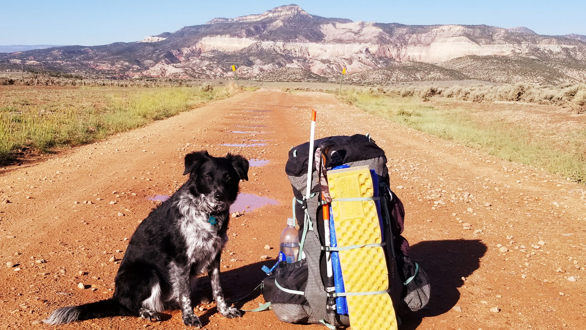 A dog sits next to a backpack on a dirt road in a desert landscape.