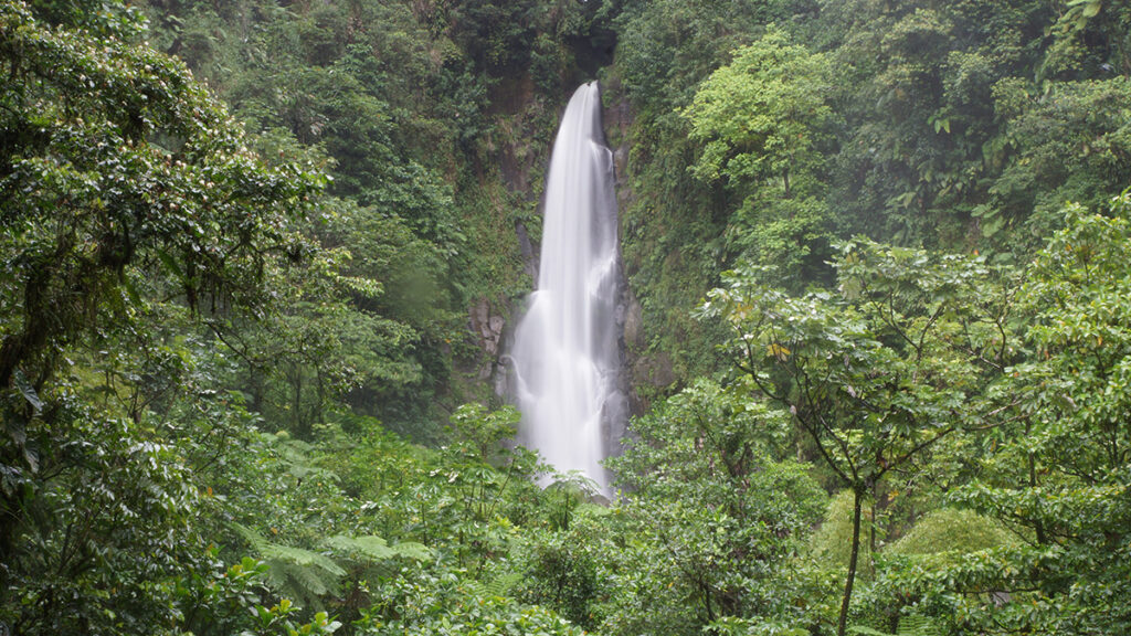 Cascada en un bosque en la isla de Dominica