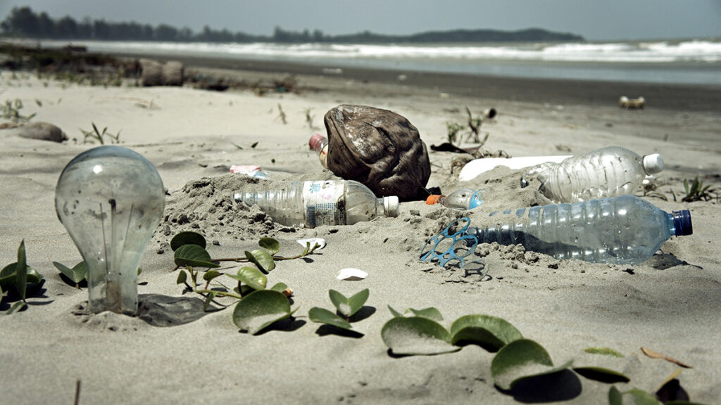 Plastic water bottles and trash on a beach
