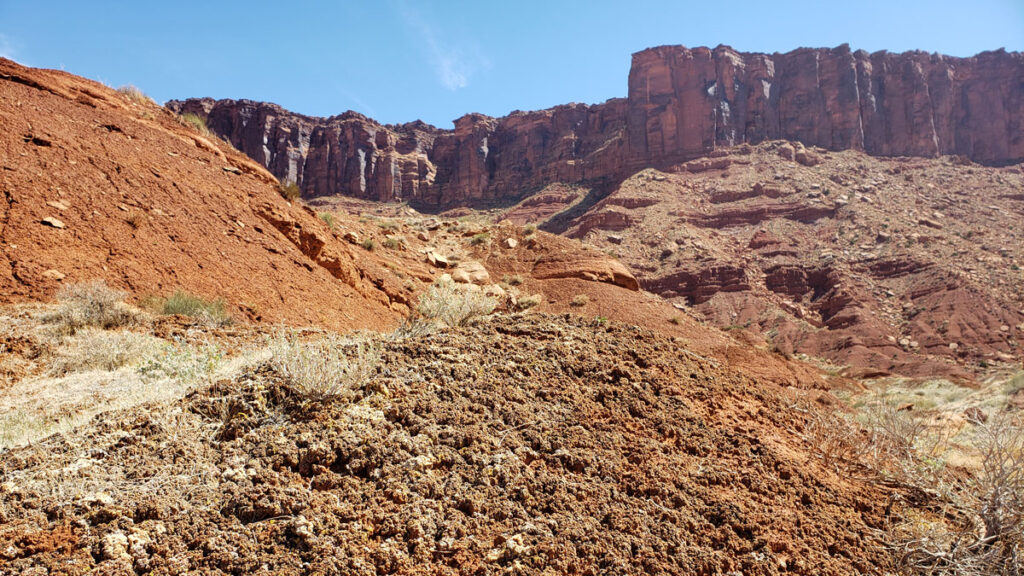 Biocrusts abundant in lichens grow on the soil surface in the Colorado Plateau.