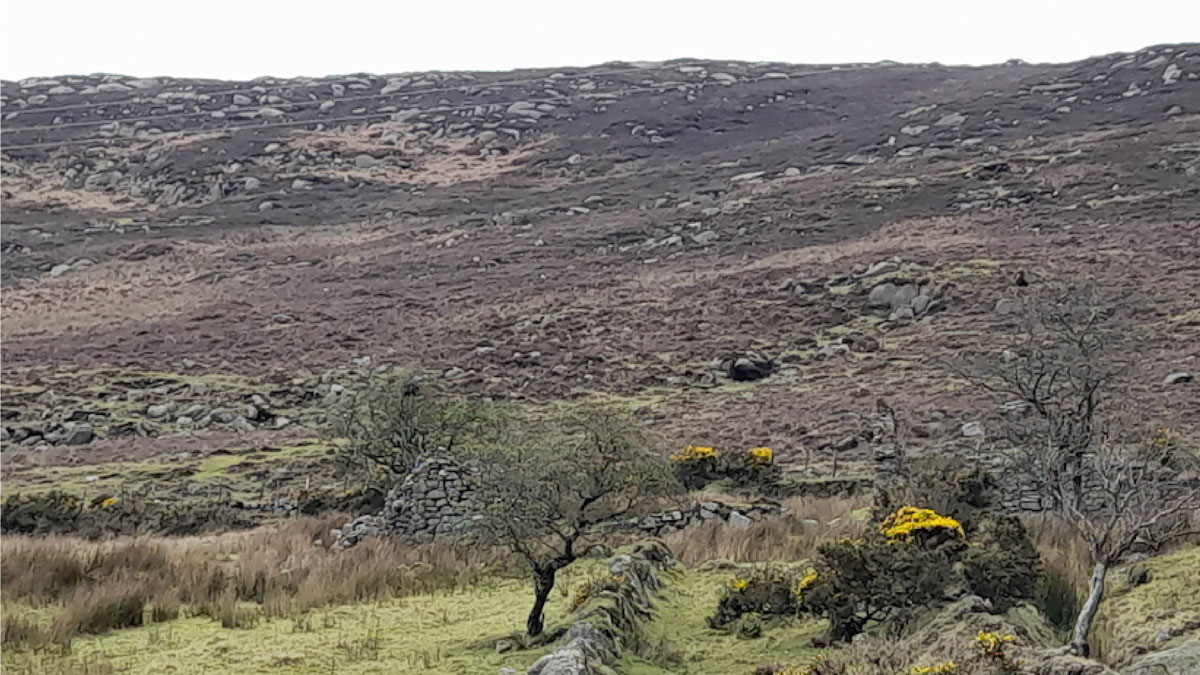 Remains of settlements in Northern Ireland’s uplands.