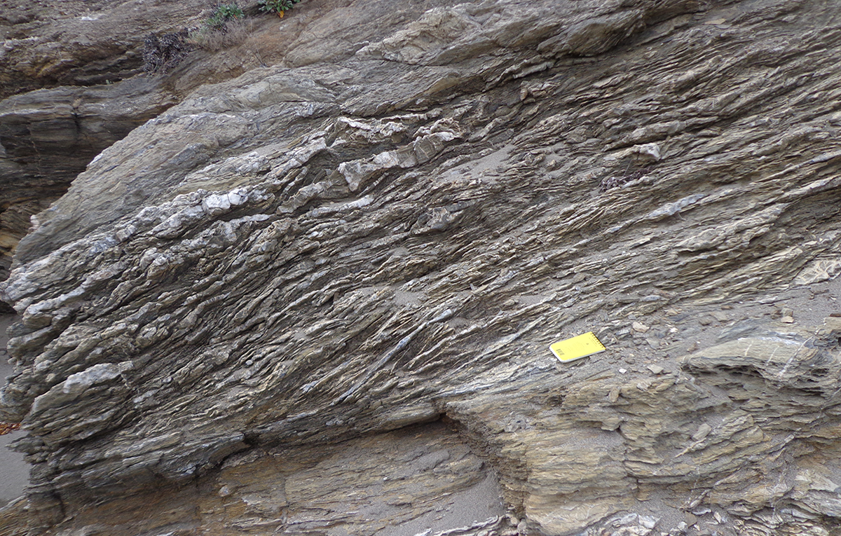 Photo of rock outcrop showing foliation-parallel quartz veins.