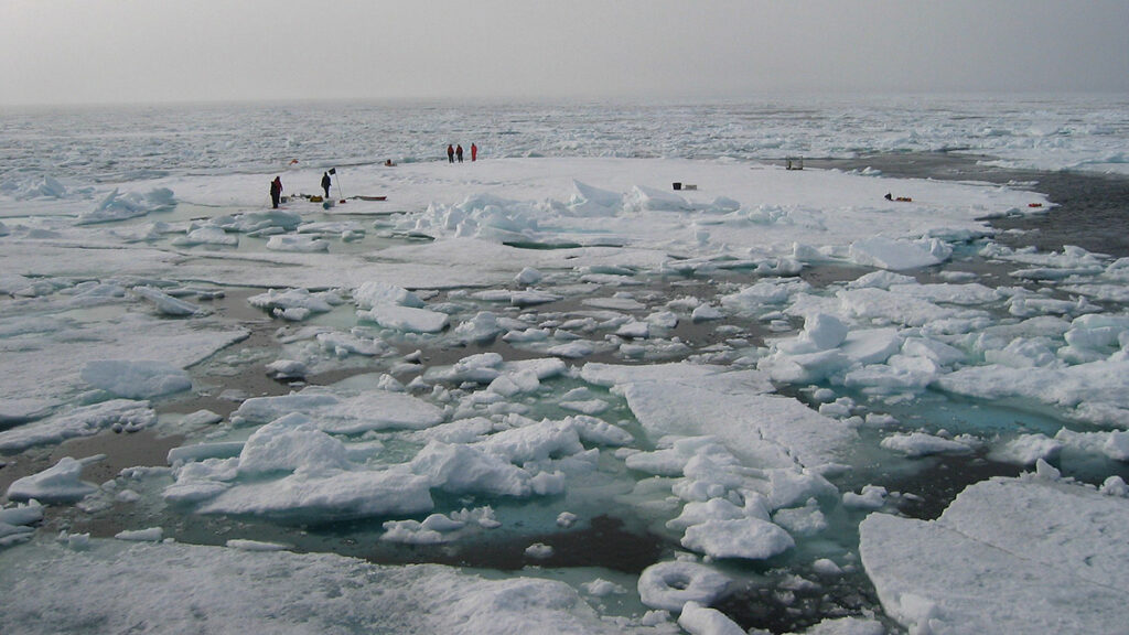 Scientists collect samples from algal mats dotting the surface of sea ice in the Arctic.