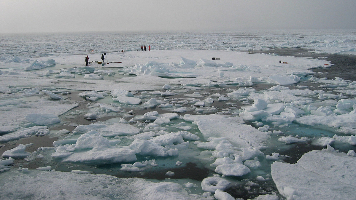 Scientists collect samples from algal mats dotting the surface of sea ice in the Arctic.