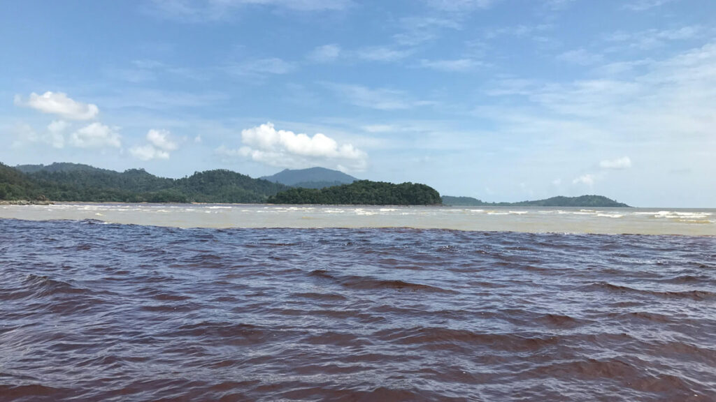 Dark plumes of black water flow from a river in Borneo, Malaysia, to the South China Sea.