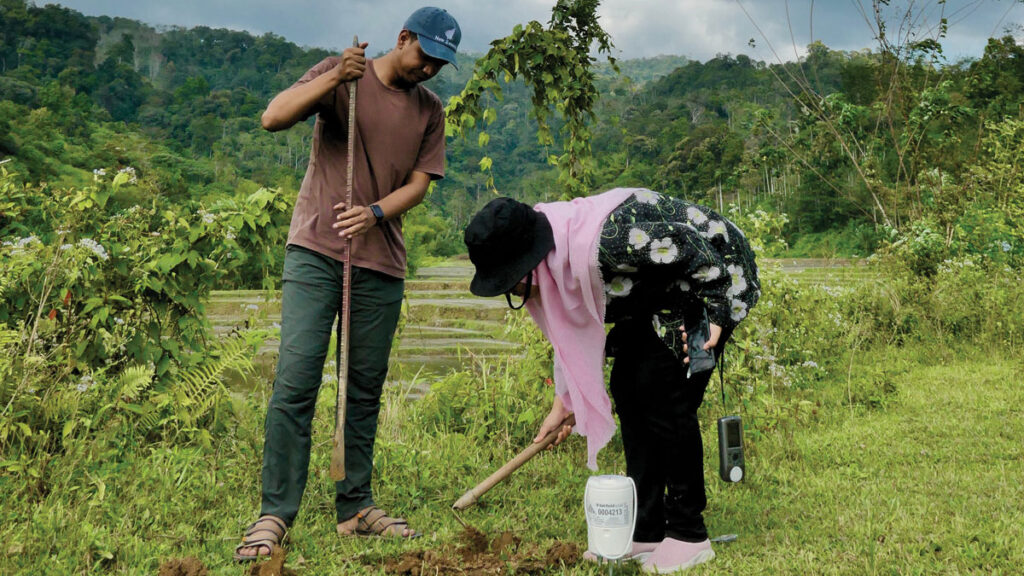 Two students from Syiah Kuala University deploy a node in a farmer’s field near the village of Mane, Aceh.