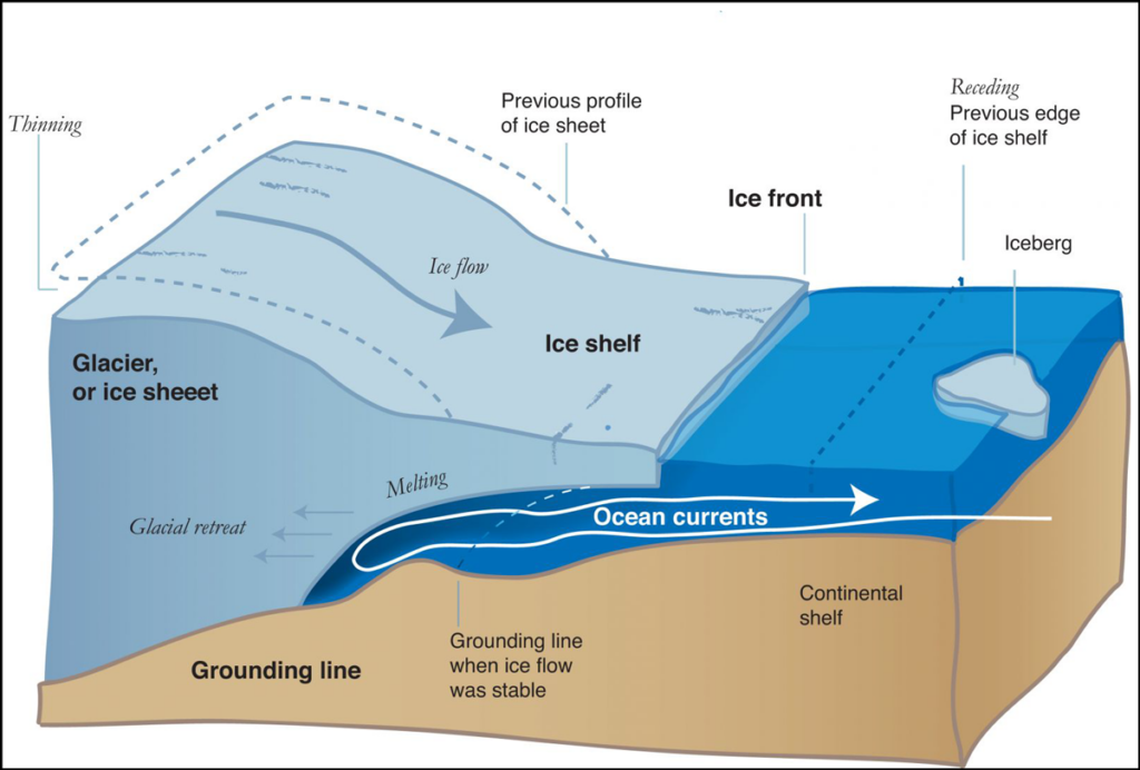 Figure illustrating the Antarctic Ice Sheet margin, showing the grounding line and ocean water circulating under an ice shelf.