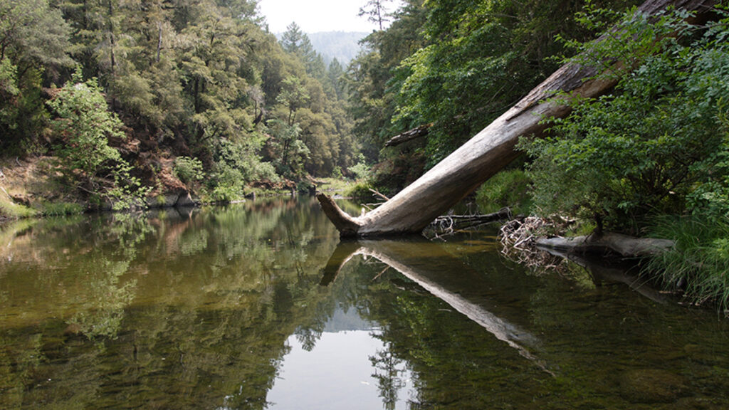Northern California’s Eel River watershed