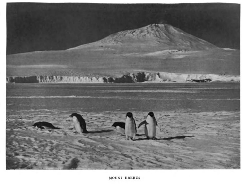 A black-and-white photograph of Mount Erebus with penguins in the foreground.