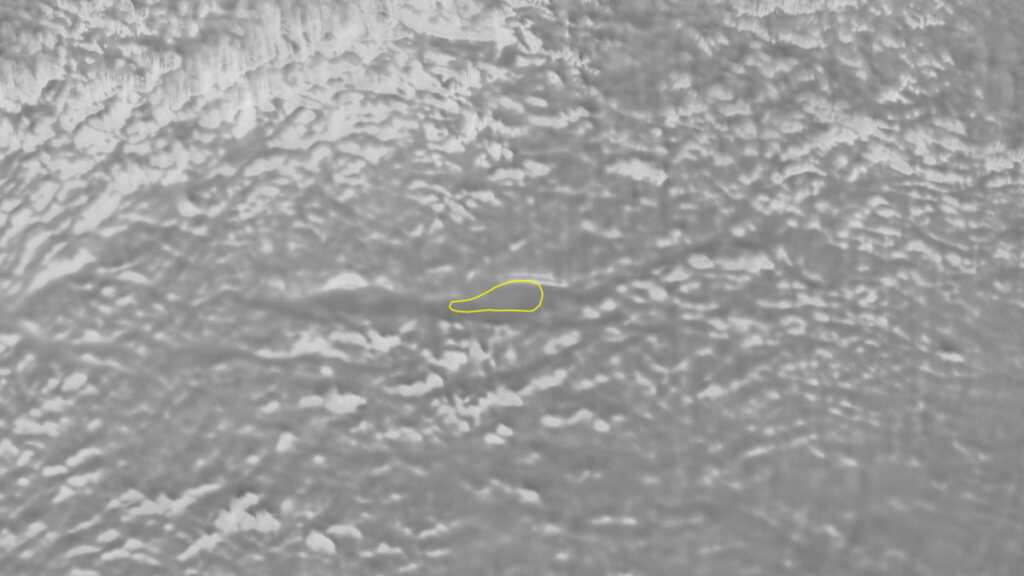 Newly discovered Lake Snow Eagle is outlined in a black-and-white satellite image of the Antarctic ice sheet.