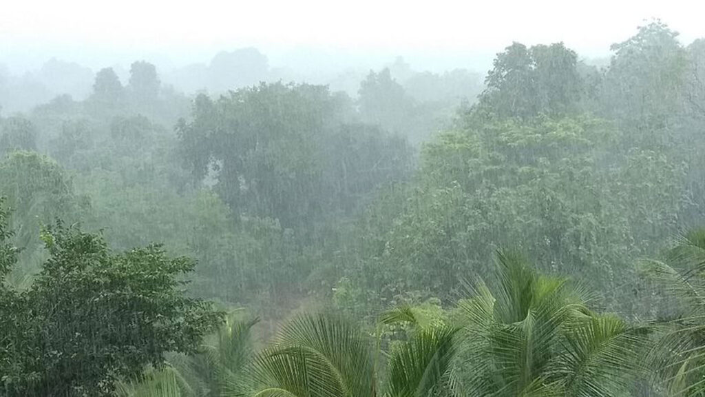 Monsoonal rainfall in Manipal, Western Ghats.