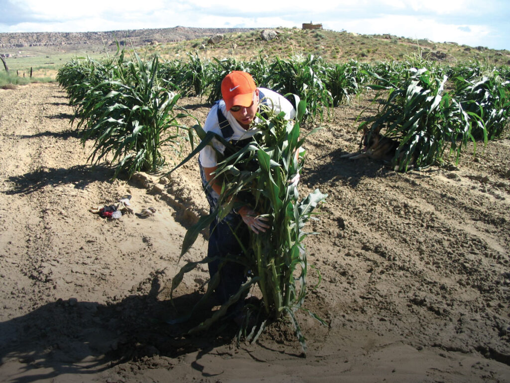 Michael Kotutwa Johnson: A Voice for Indigenous Agriculture